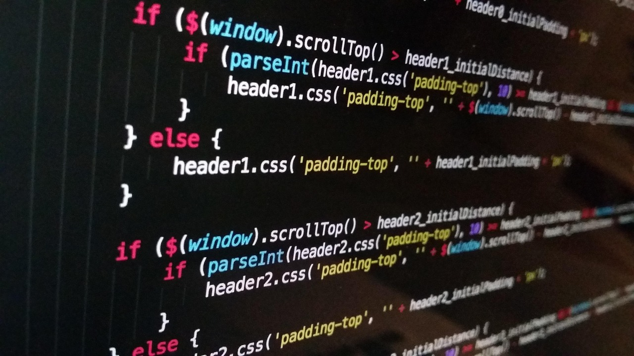 software developer coding laptop